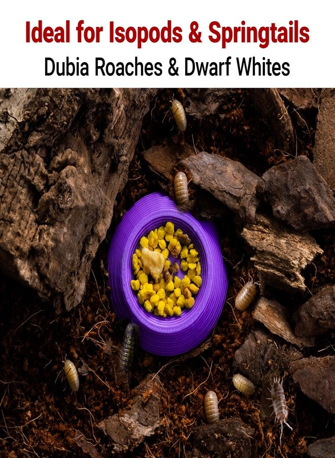 HERPDEN 12pcs Dubia Roaches Feeder Bowls, Tiny Feeding Dish for Isopods, Springtails, Dubia Roaches, Dwarf Invertebrates - Colorful Food Dishes for Terrariums and Enclosures - Image 5